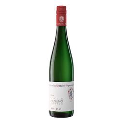 Bischöfliche Weingüter Trier Schiefer Riesling Qualitatswein trocken 0,75 l