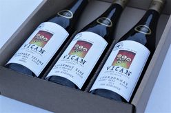 VICAN Box Vinařství roku 2019 - Výběr vinaře Tomáše Vicana 2019 3×0,75l GB