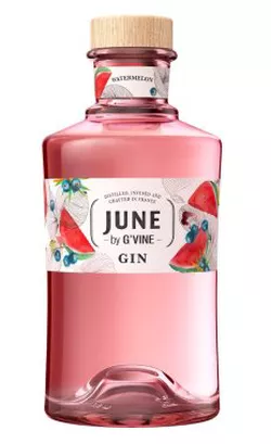 June Gin Meloun  37,5 % 0,7 l