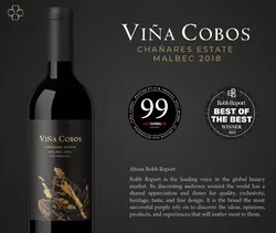 Cobos Chañares Estate Malbec 2018, 750ml